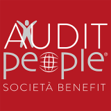 Audit People